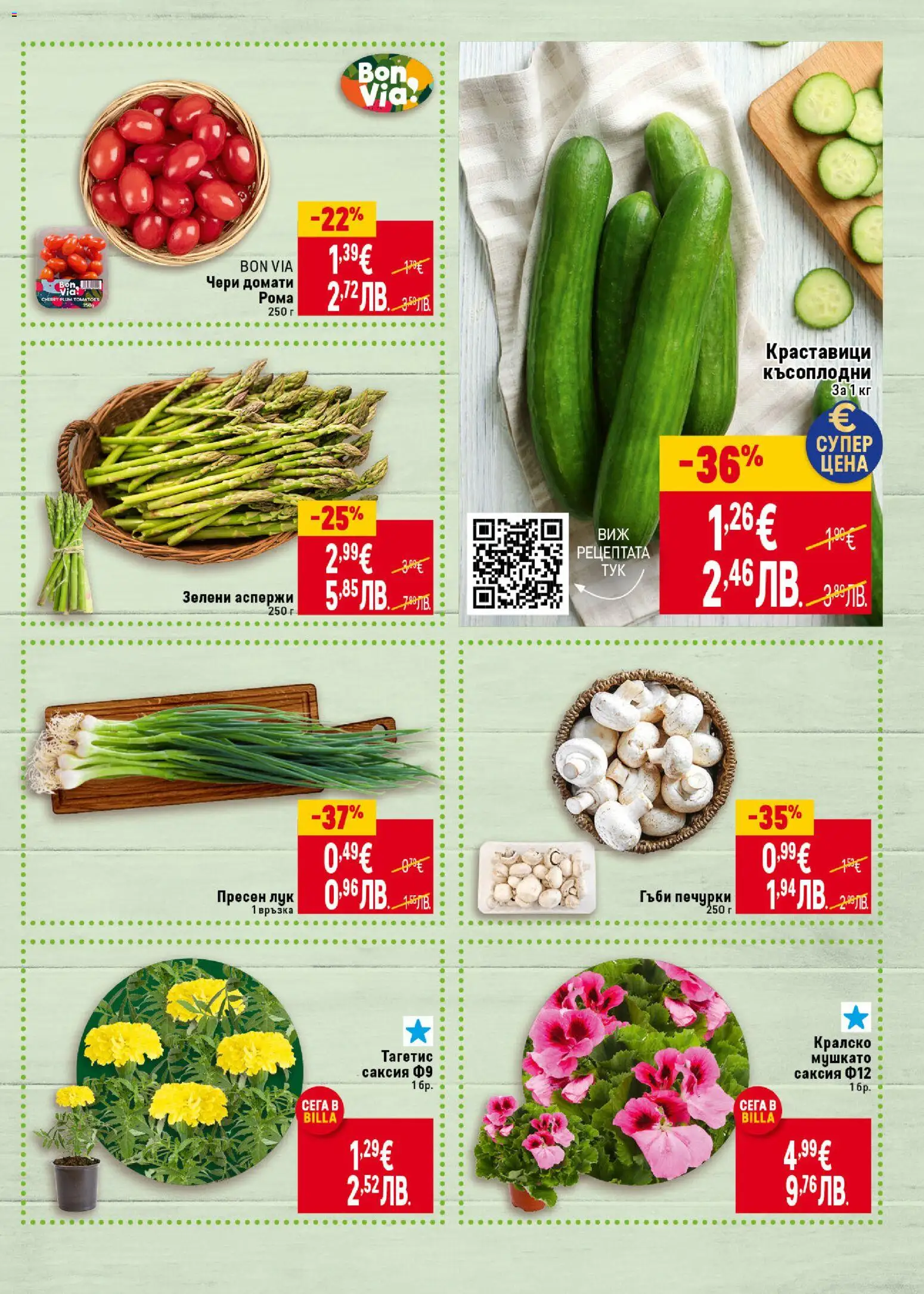 {H1} | Страница: 5 | Продукти: Лук, Домати, Гъби, Саксия