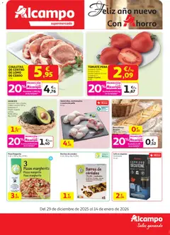 Vista previa Alcampo - Maxi válido desde el 29.12.2025