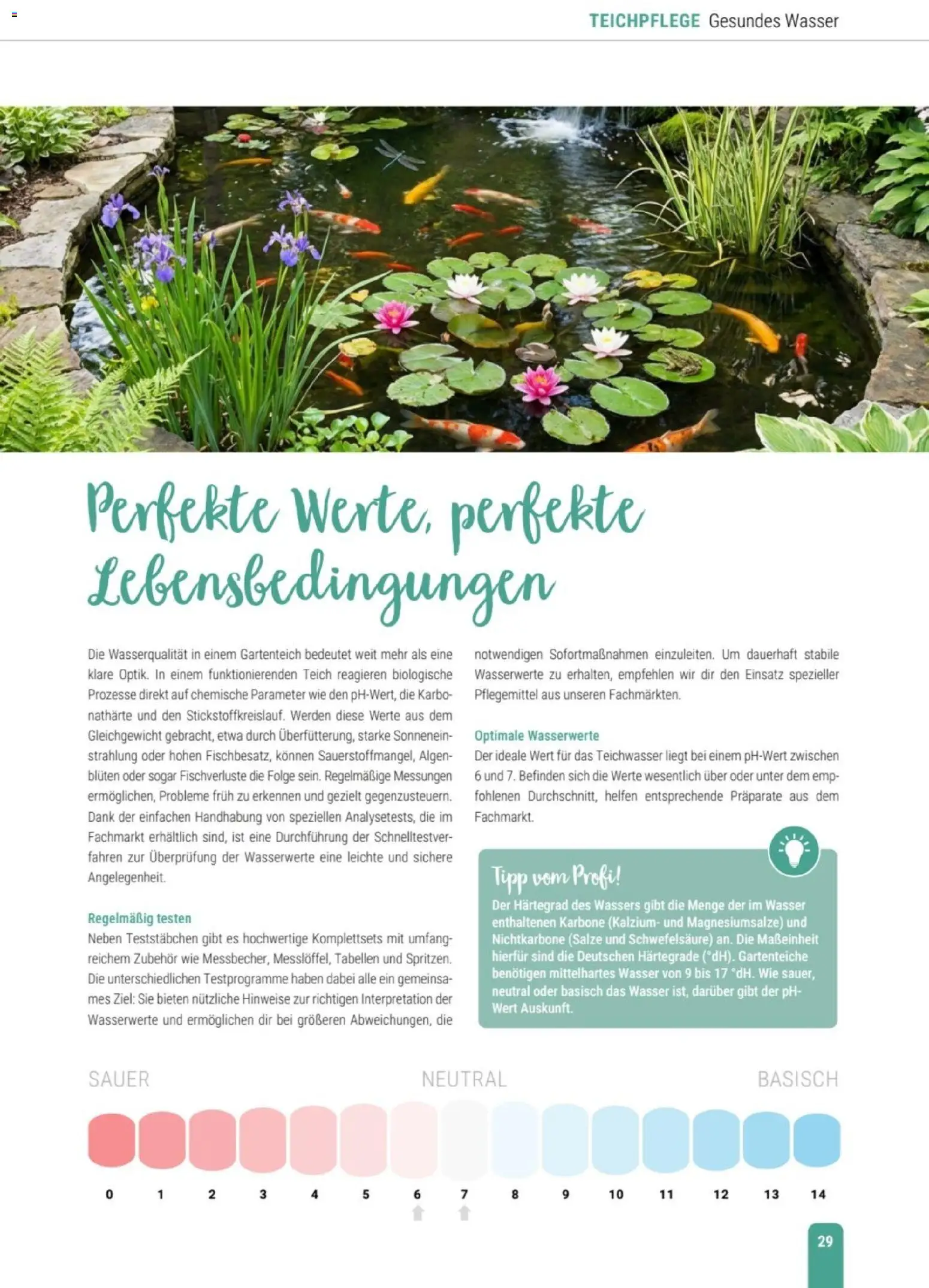 zookauf Themenkatalog Teich – gültig ab 23.03.2026 | Seite: 29 | Produkte: Wasser