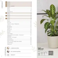 Kinekus leták platný od 02.03.2026 | Strana: 2 | Produkty: Kvetináč, Orchidea