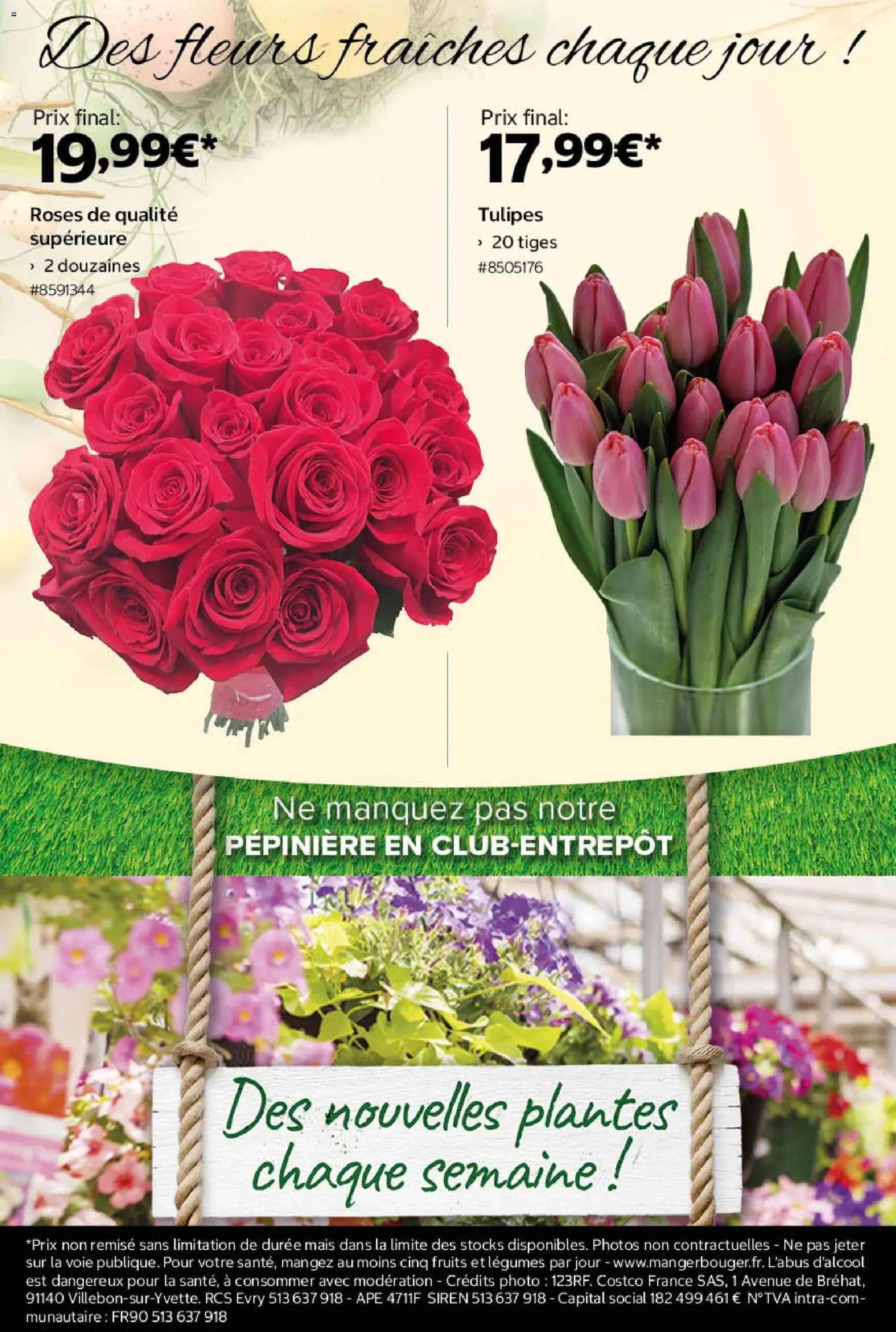 {H1} | Page: 18 | Produits: Plantes, Mais, Tulipes