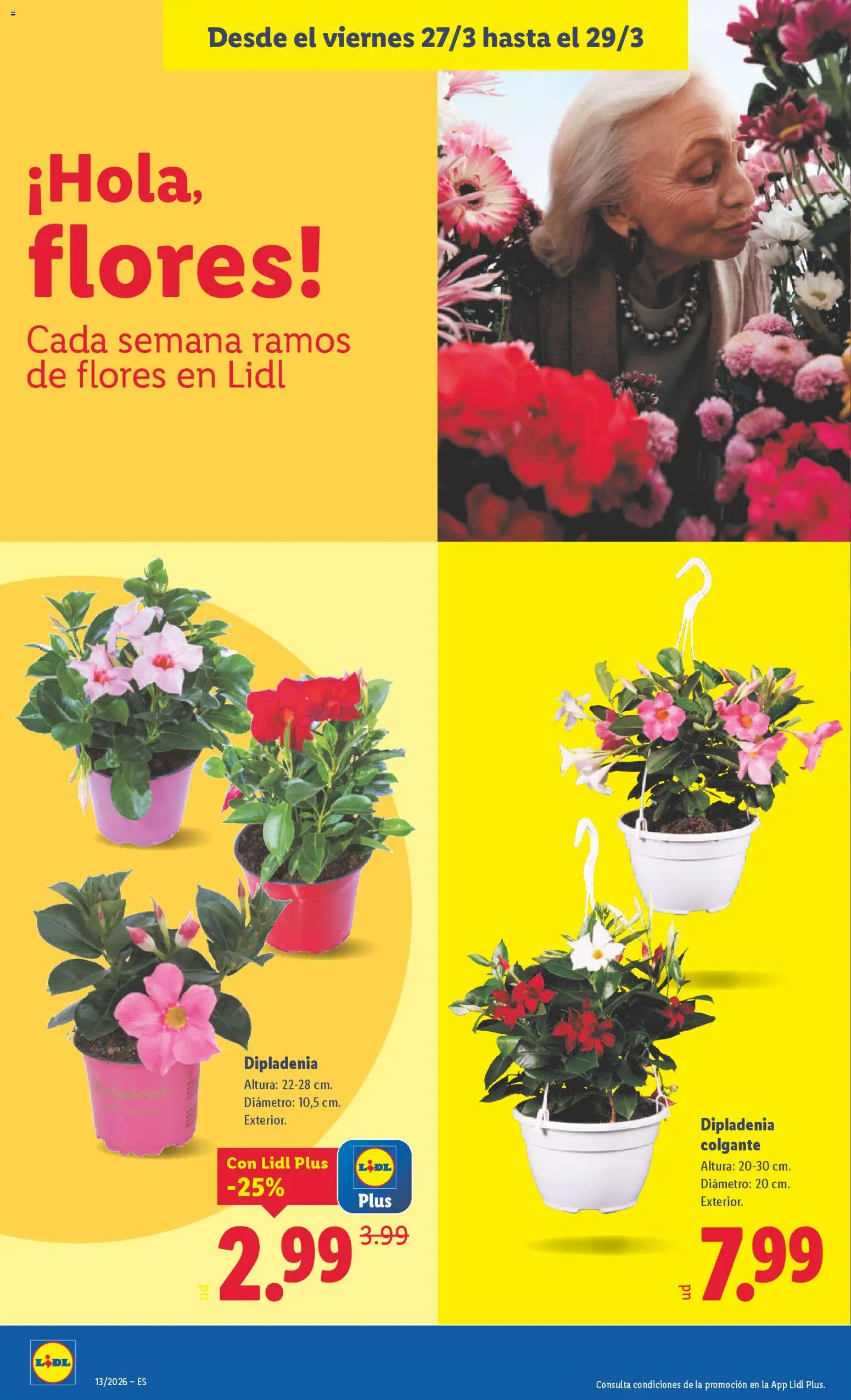 Lidl folleto │ válido desde el 23.03.2026 | Página: 28