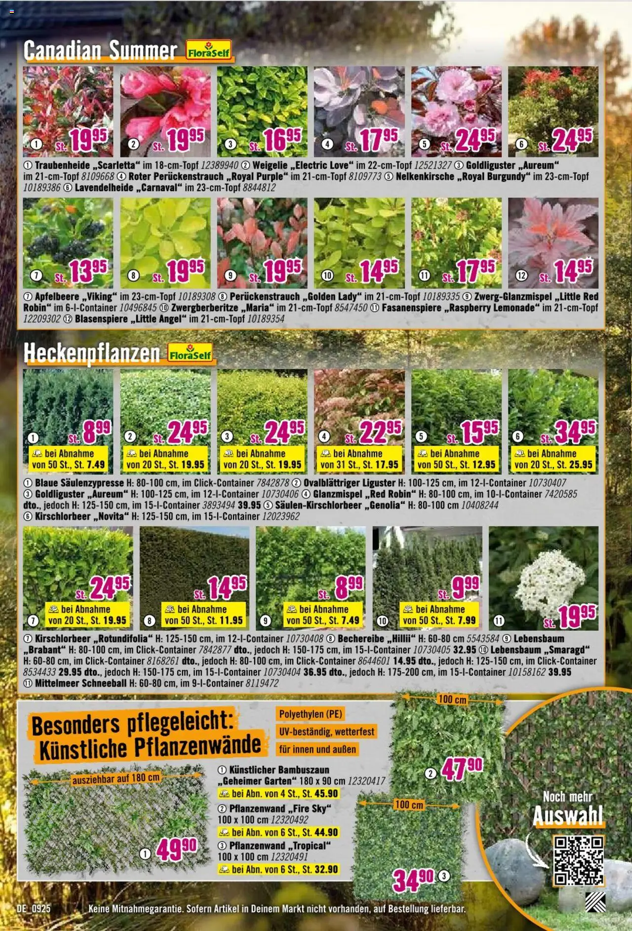 Hornbach Prospekt 	 – gültig ab 08.09.2025 | Seite: 15