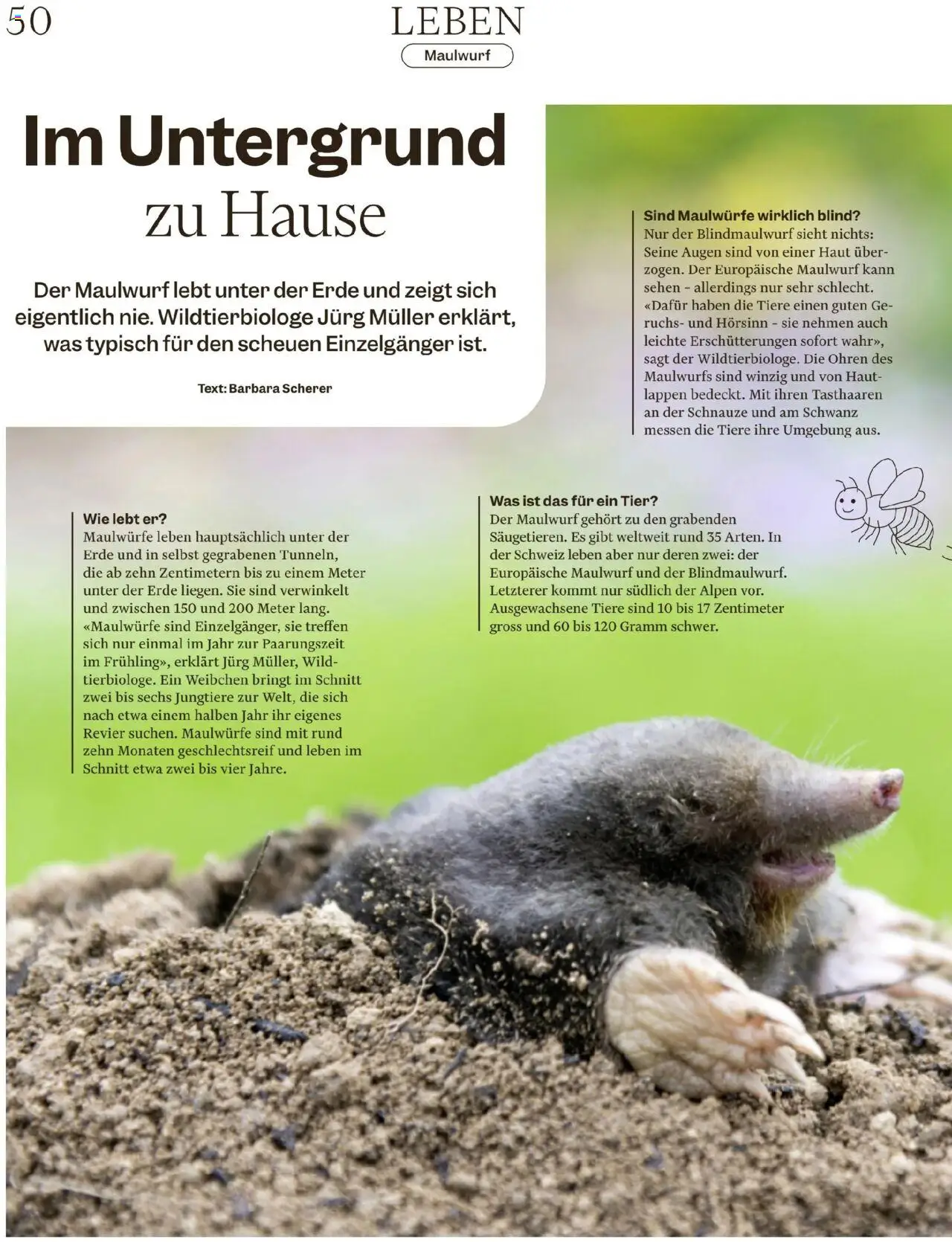 Migros - Magazin ab 05.08.2025 | Seite: 50 | Produkte: Sehen