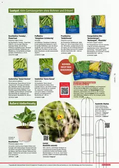 Bauhaus Reiche Ernte Magazin 2025 ab 01.07.2025 gültig | Seite: 27 | Produkte: Gurken, Gemüse, Erbsen