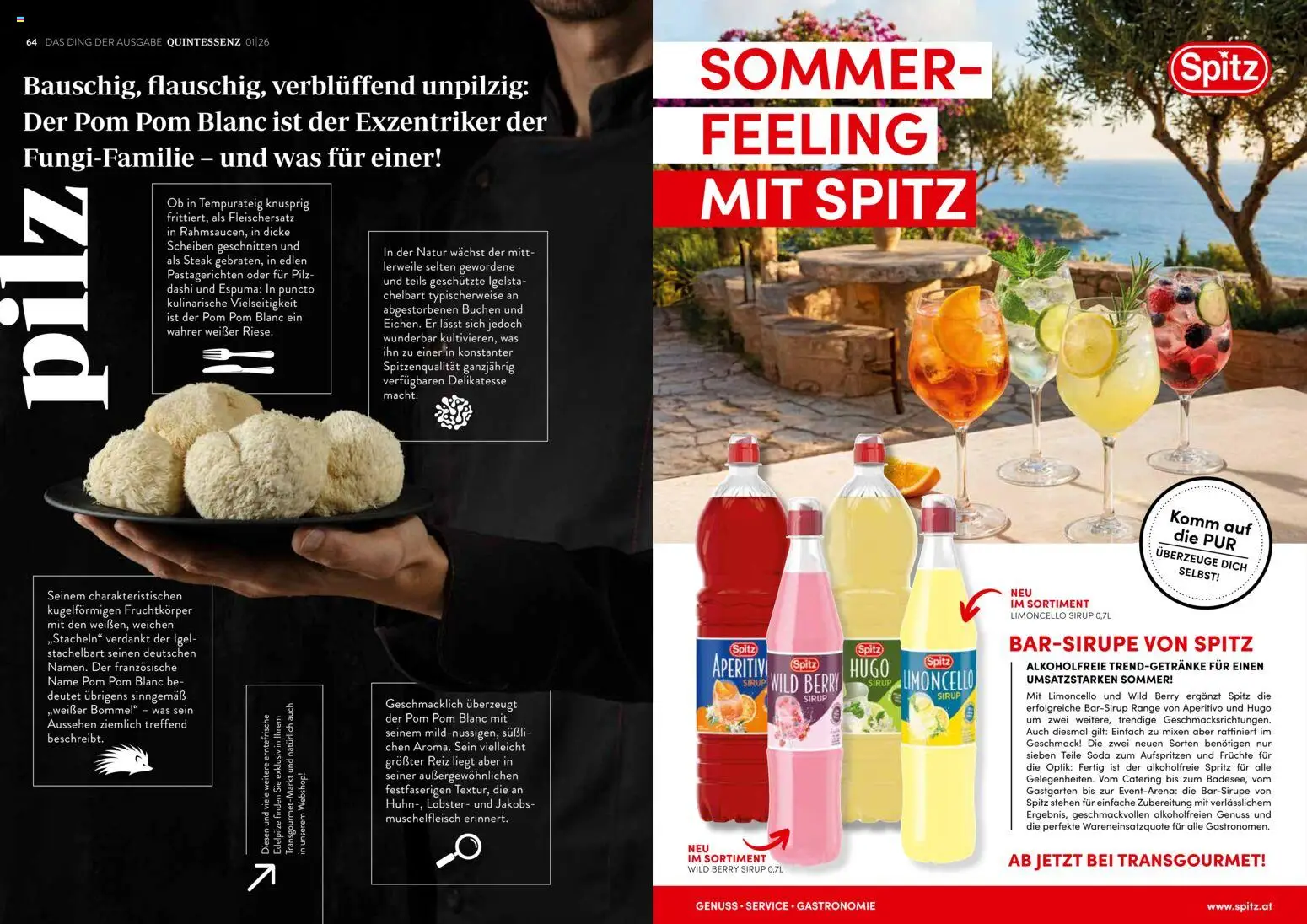 Transgourmet Quintessenz gültig ab 13.02.2026 | Seite: 34