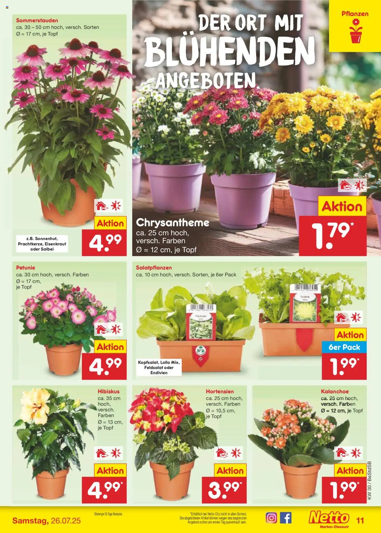 Netto Marken-Discount Prospekt 	 - gültig ab dem 21.07.2025 | Seite: 13