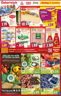 Norma Flugblatt ab 15.12.2025 gültig | Seite: 13