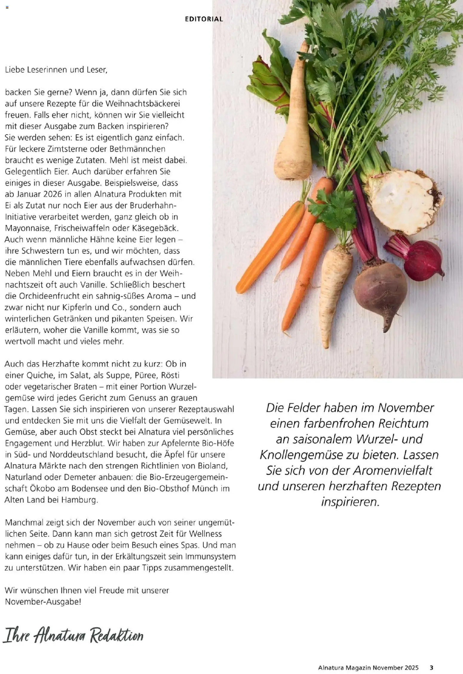 Alnatura Prospekt – gültig ab 01.11.2025 | Seite: 3 | Produkte: Mehl, Eier, Äpfel, Gemüse