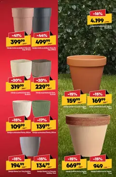 Saksija sa podmetačem Viola, 18x18cm, Saksija sa podmetačem Viola, 18x18cm - pregled Mega Maxi kataloga - važi od 26.02.2026 | Strana: 11 | Proizvode: Saksija