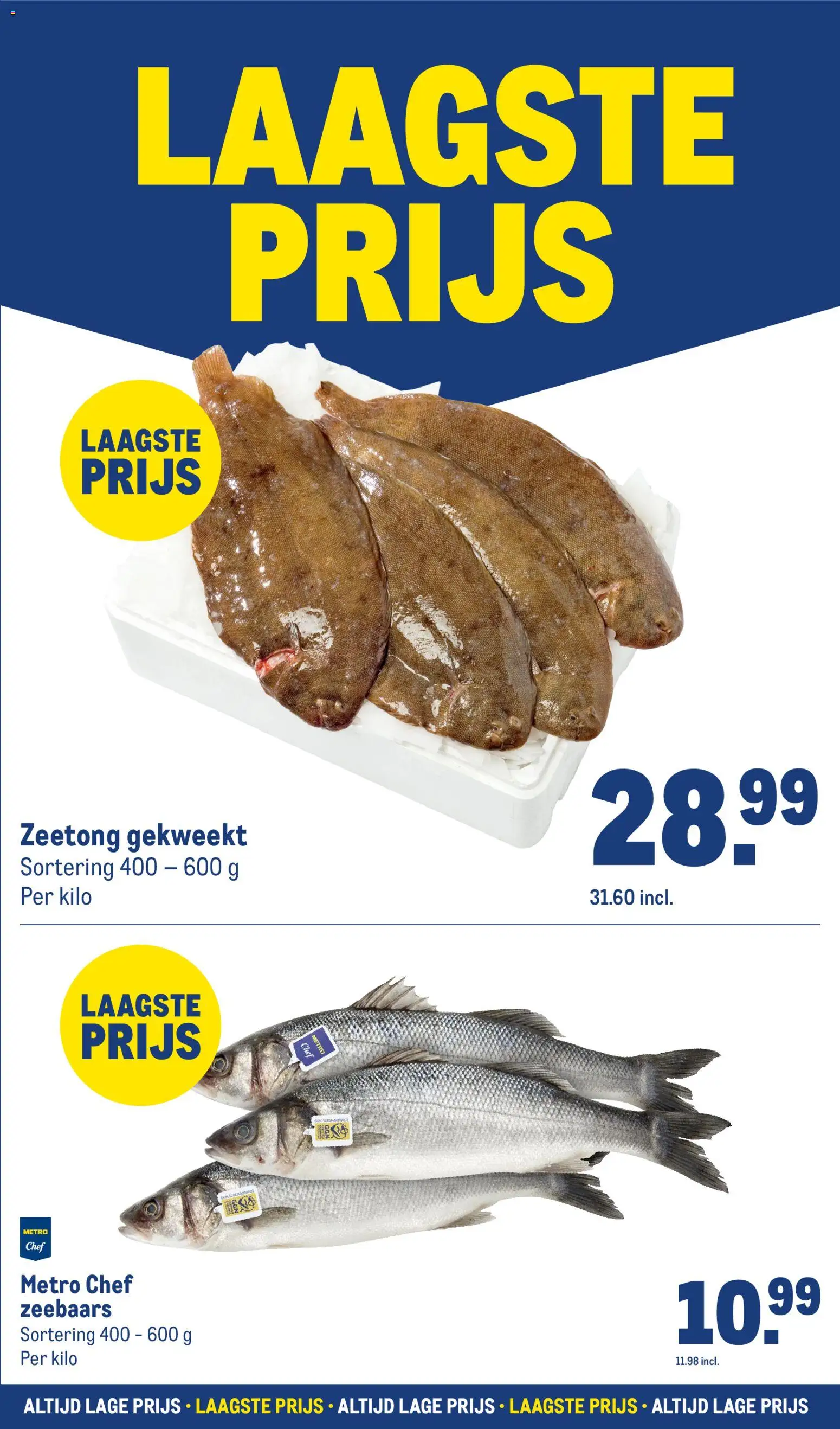 {H1} | Pagina: 15 | Producten: Tomaten, Zak