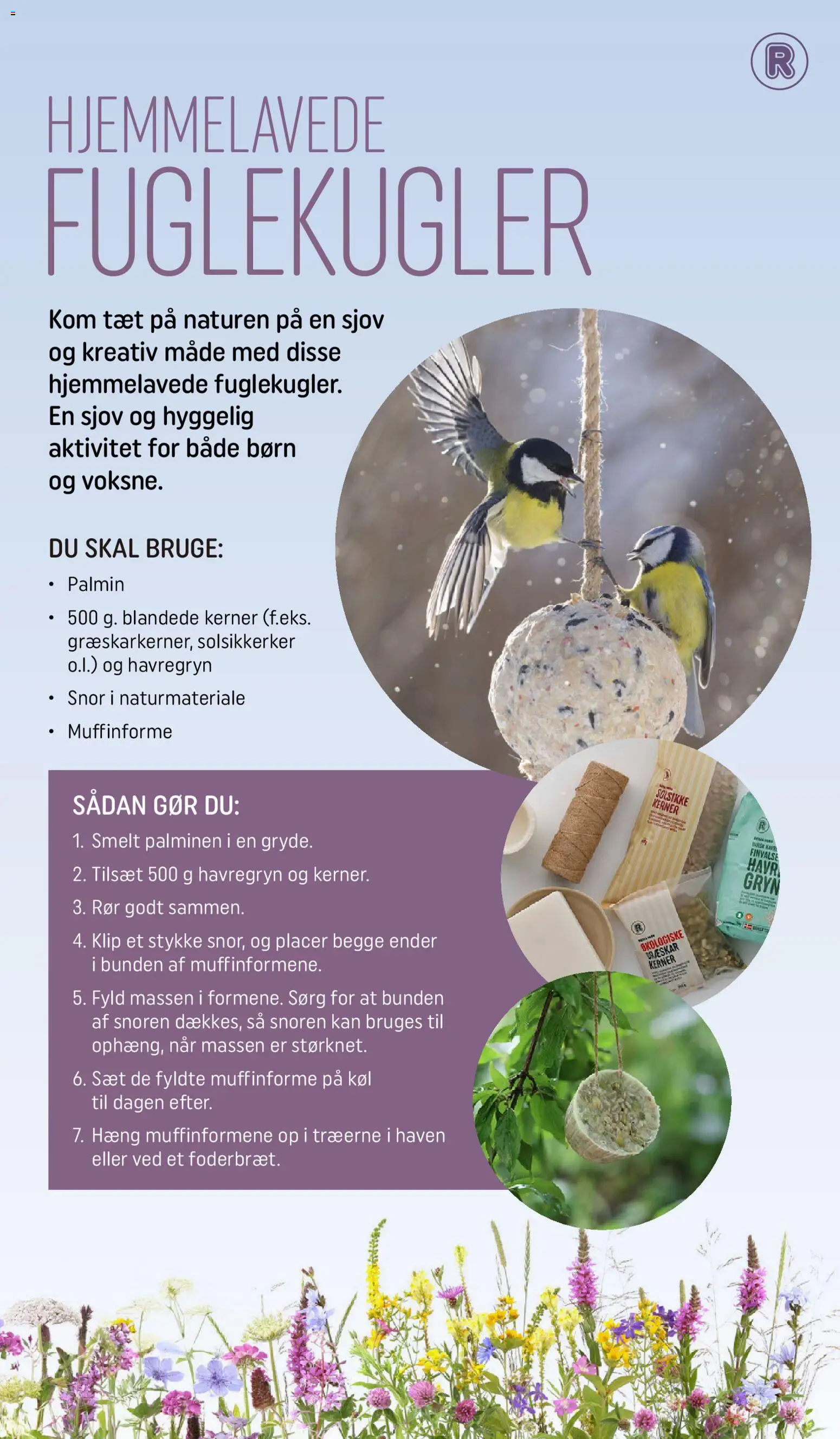 Rema 1000 tilbudsavis – gyldig fra 03.03.2026 | Side: 7 | Produkter: Græskar, Havregryn