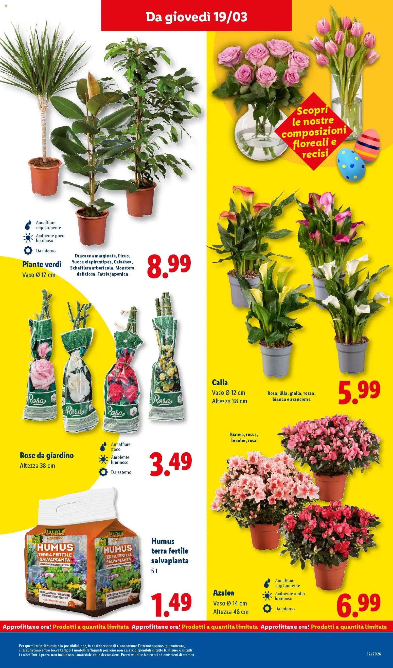 Volantino Lidl del 16.03.2026 | Pagina: 45 | Prodotti: Vaso, Terra