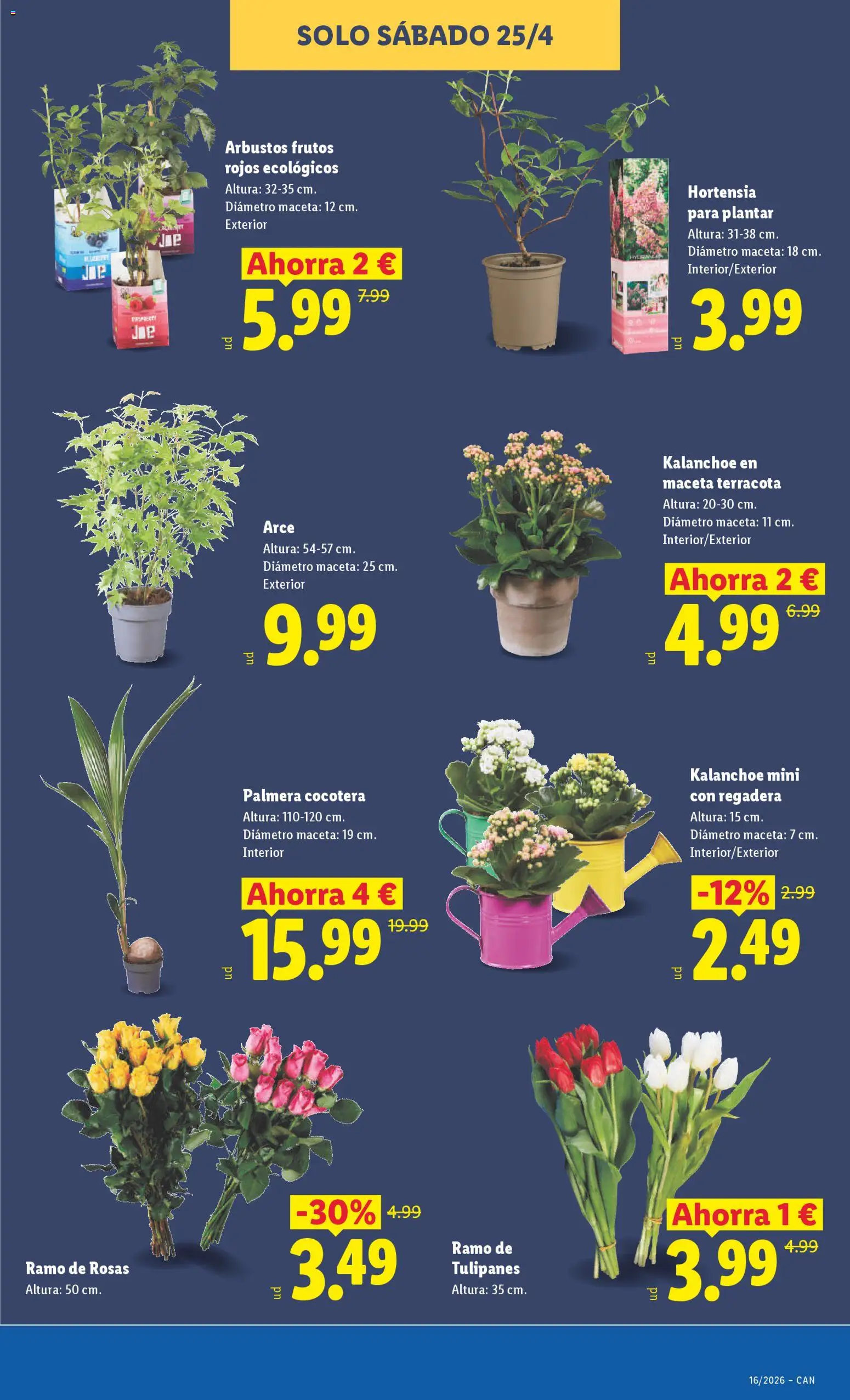 Lidl Canarias │ válido desde el 13.04.2026 | Página: 41 | Productos: Regadera, Maceta