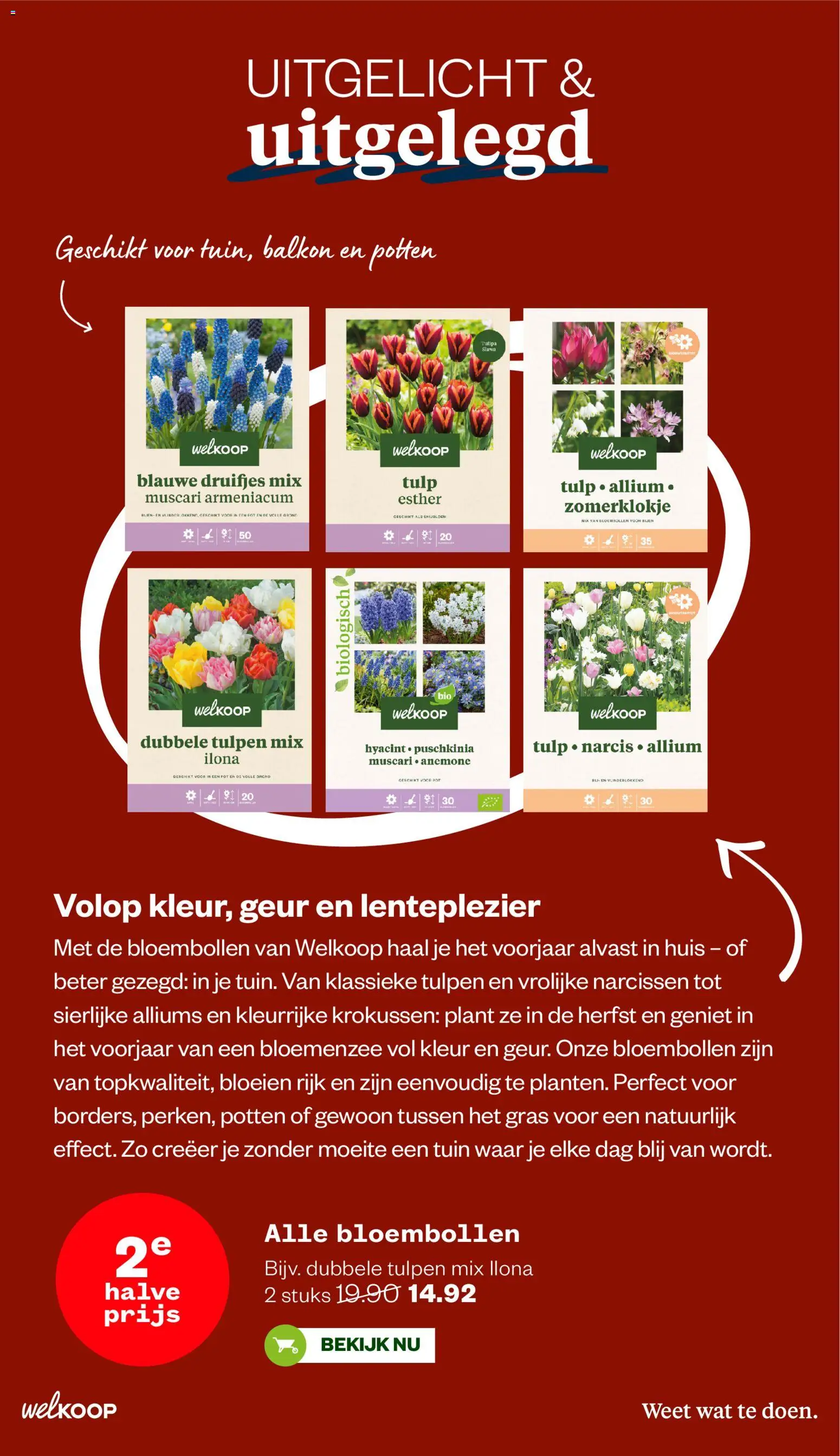 {H1} | Pagina: 33 | Producten: Vest, Jas, Sjaal, Kabel