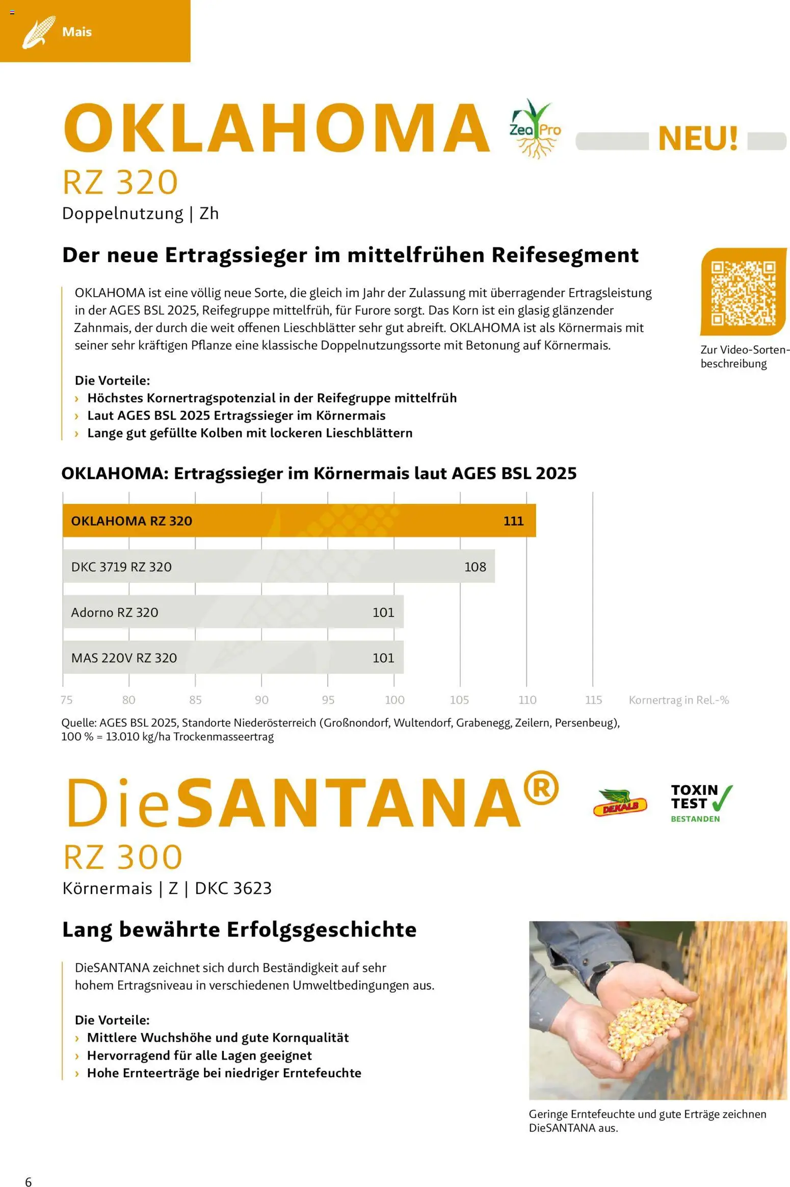 Lagerhaus - Frühjahr 2026 Östliches  Niederösterreich gültig ab 01.03.2026 | Seite: 6