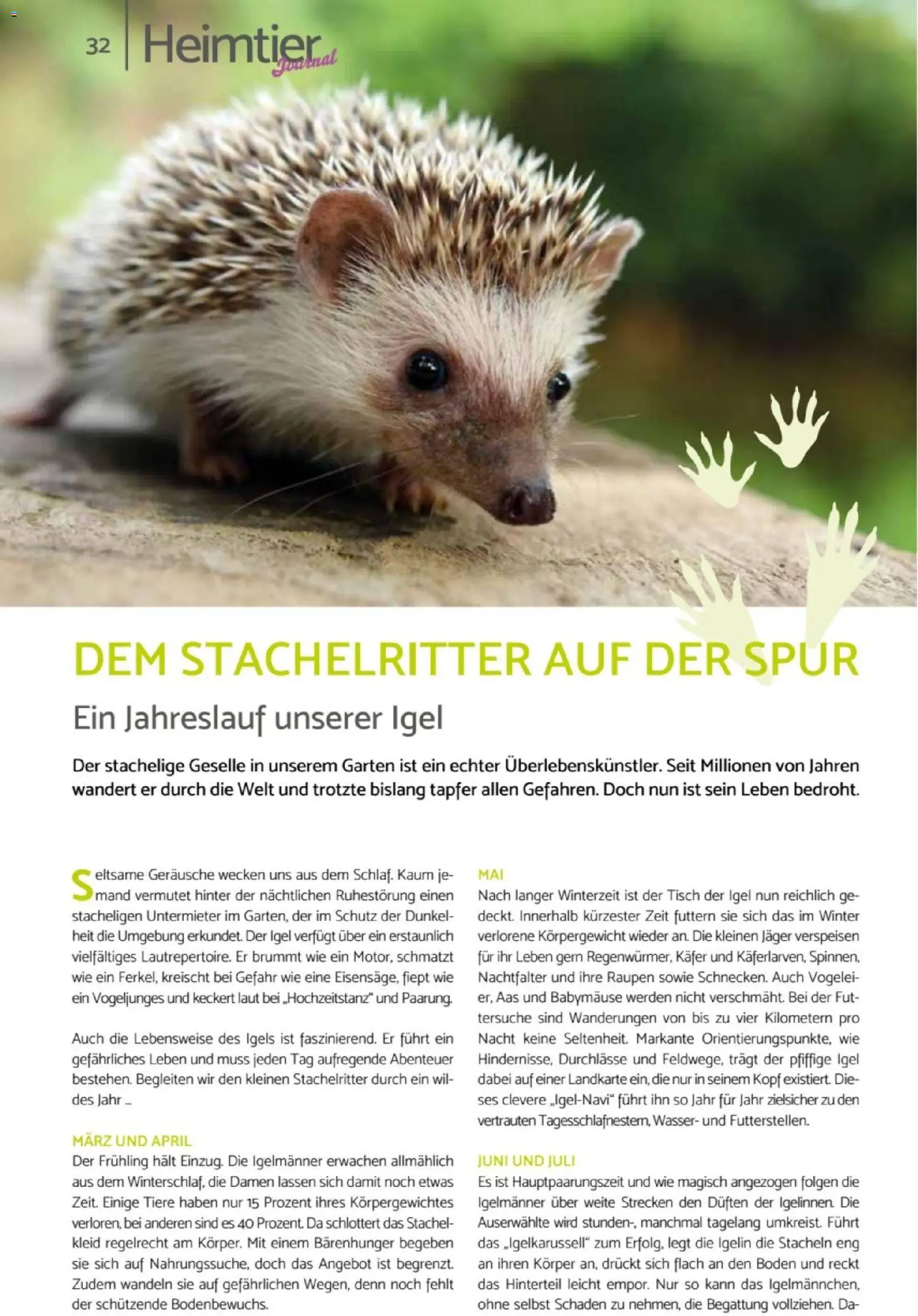 zookauf Heimtier Journal – gültig ab 01.04.2026 | Seite: 32 | Produkte: Tisch, Wasser, Kleid
