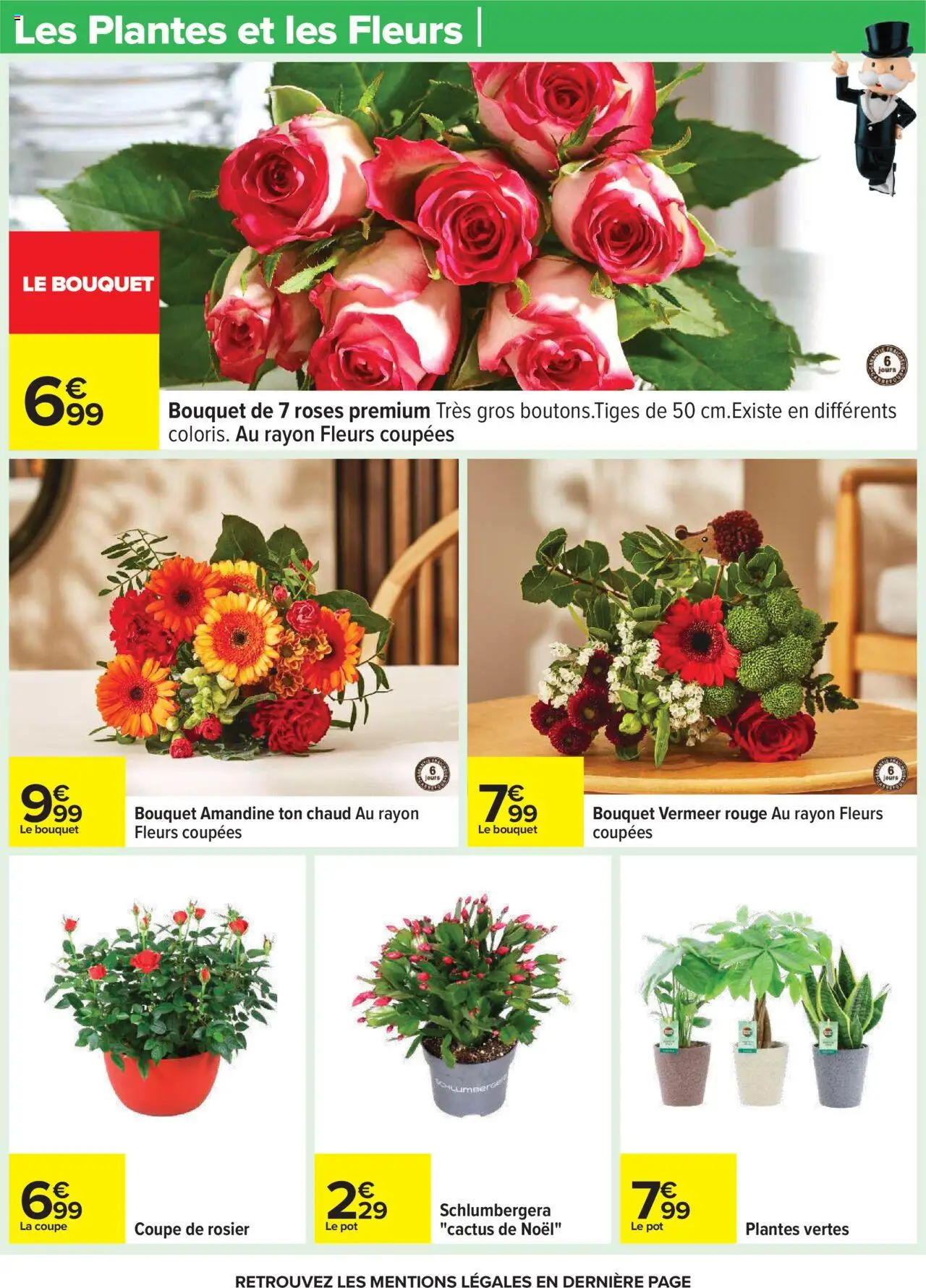  | Page: 29 | Produits: Rosier, Plantes