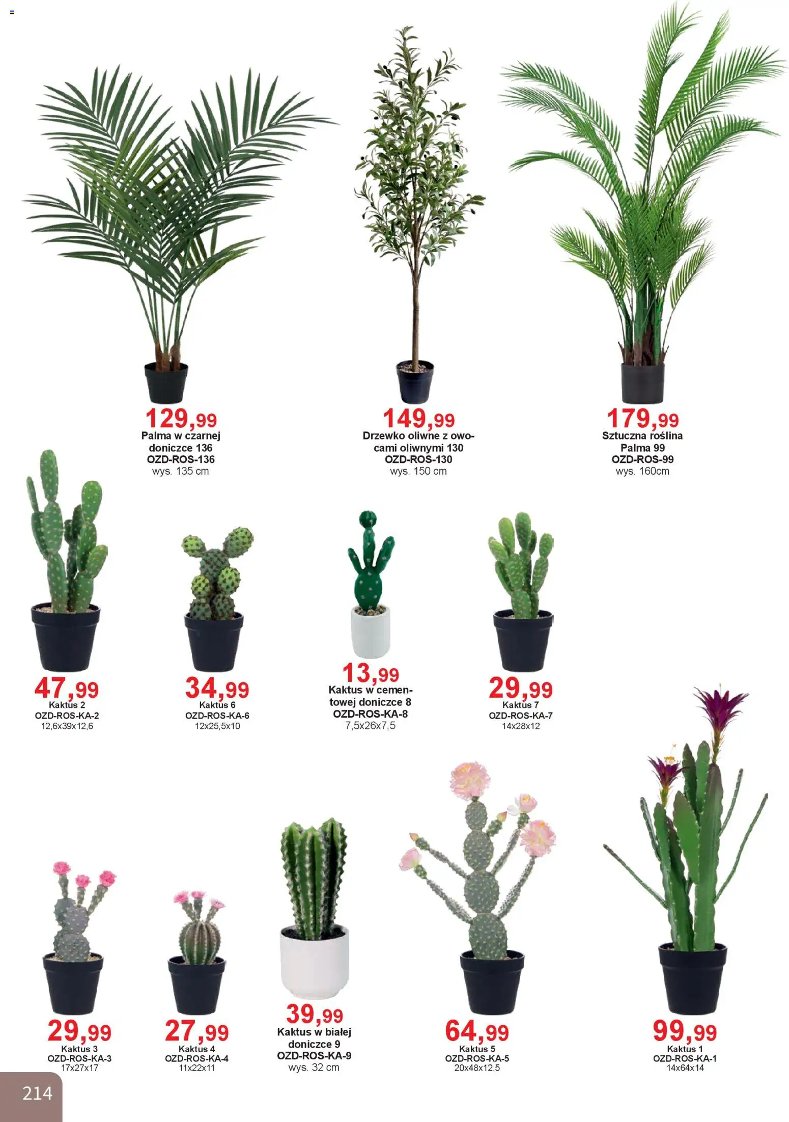 Bodzio Katalog od 01.01.2026 | Strona: 214
