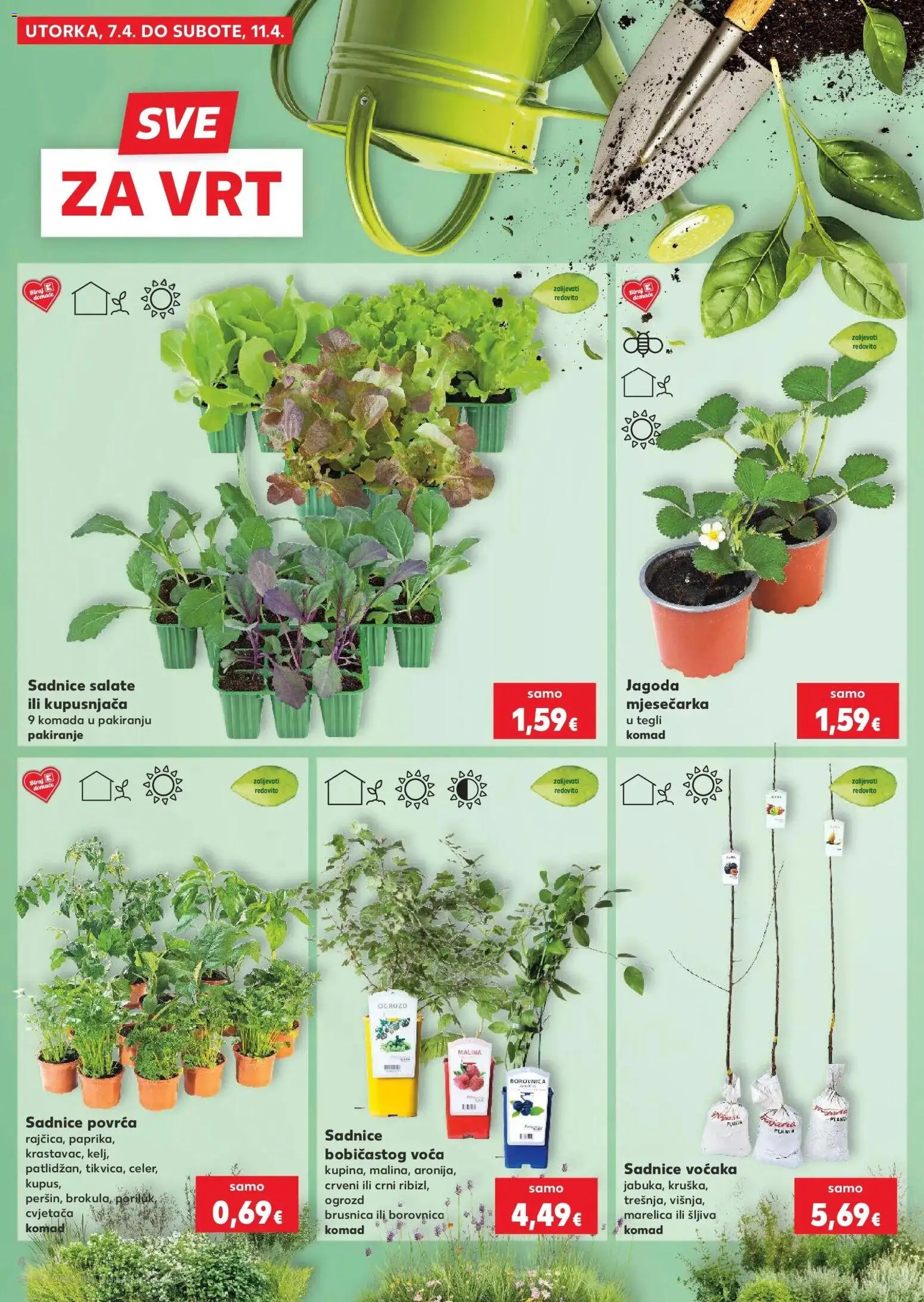 Kaufland katalog | vrijedi od 29.03.2026 | Stranica: 4 | Proizvodi: Šljiva, Borovnica, Brusnica