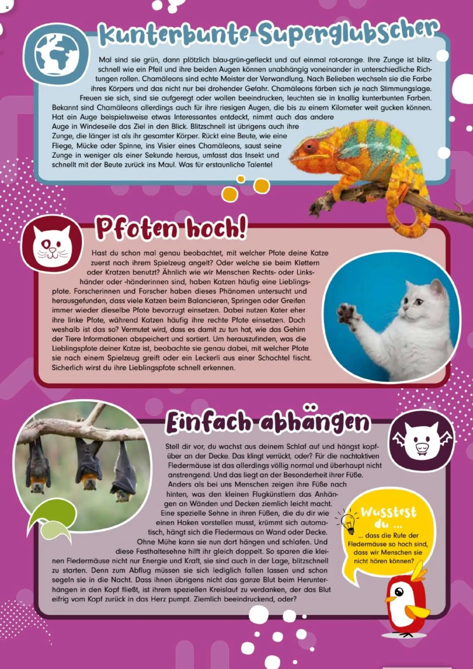 zookauf Kids – gültig ab 01.04.2026 | Seite: 2