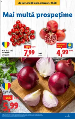 Ceapă de apă, per kg – valabil de la 25.08.2025 | Pagină: 7