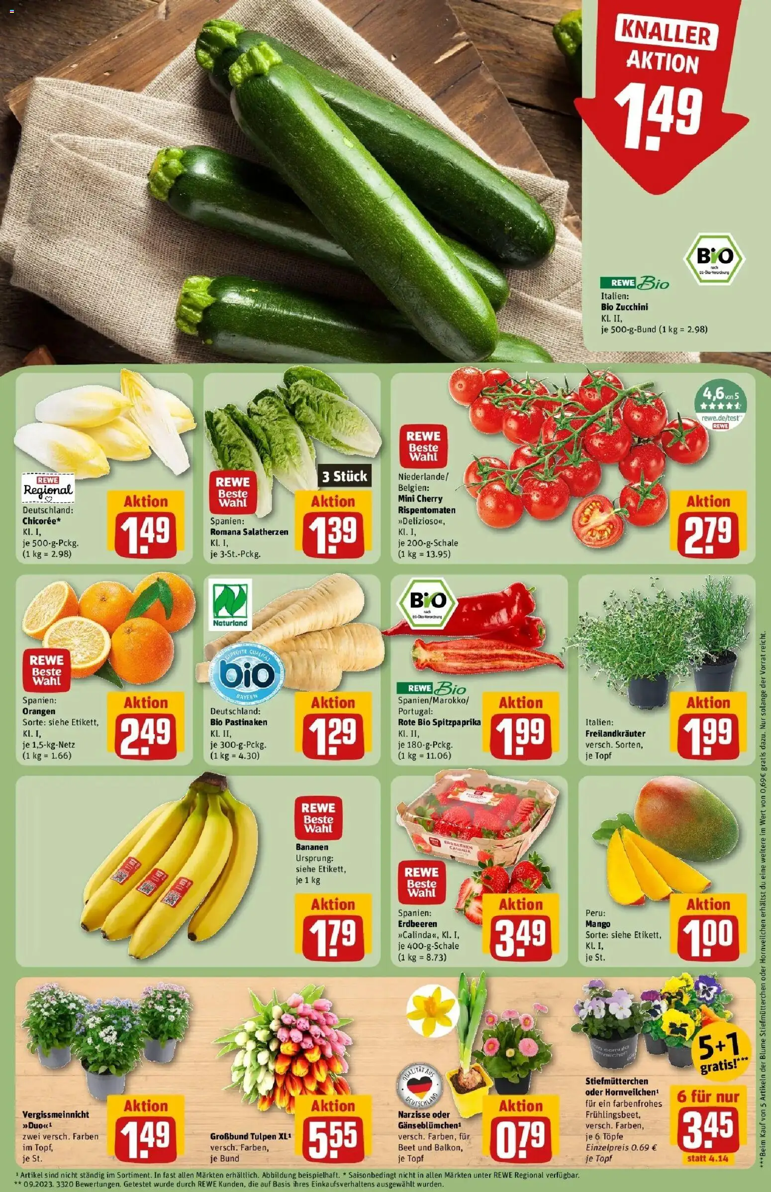 Rewe Prospekt Dachau	 – gültig ab 15.03.2026 | Seite: 9 | Produkte: Bananen, Orangen, Mango, Zucchini