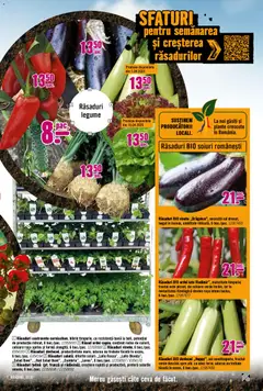 Ofertele Hornbach valabile de la 23.03.2026 | Pagină: 7