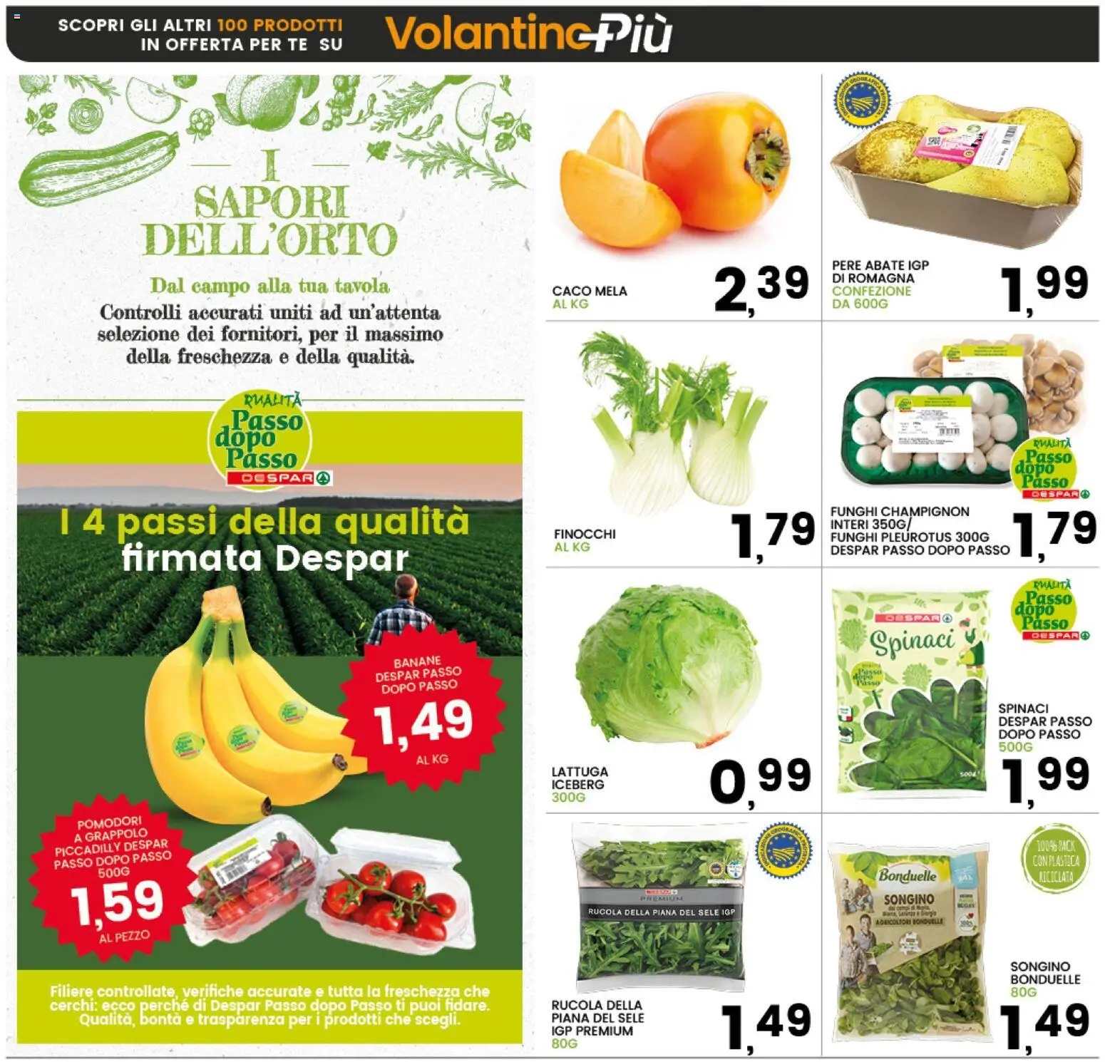 Volantino Interspar del 17.11.2025 | Pagina: 8 | Prodotti: Tè, Pomodori, Finocchi, Lattuga