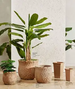 01.01.2026 tarihinden itibaren geçerli olan Mudo kataloğu önizlemesi | Sayfa: 12