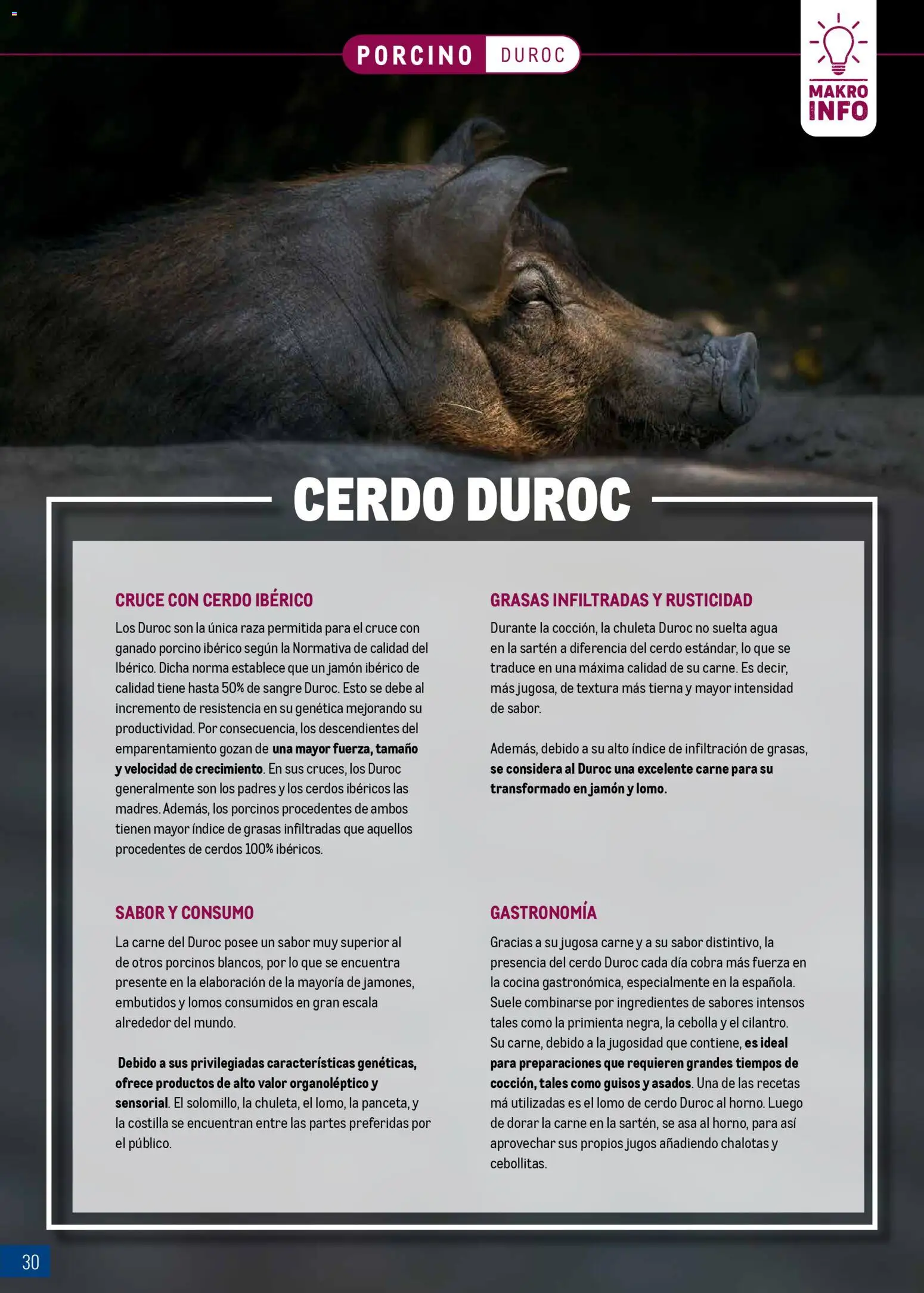 Makro - Expertos en carnes │ válido desde el 09.03.2026 | Página: 30 | Productos: Jamón ibérico, Cerdo, Νυχτικό, Παγωμένο τσάι