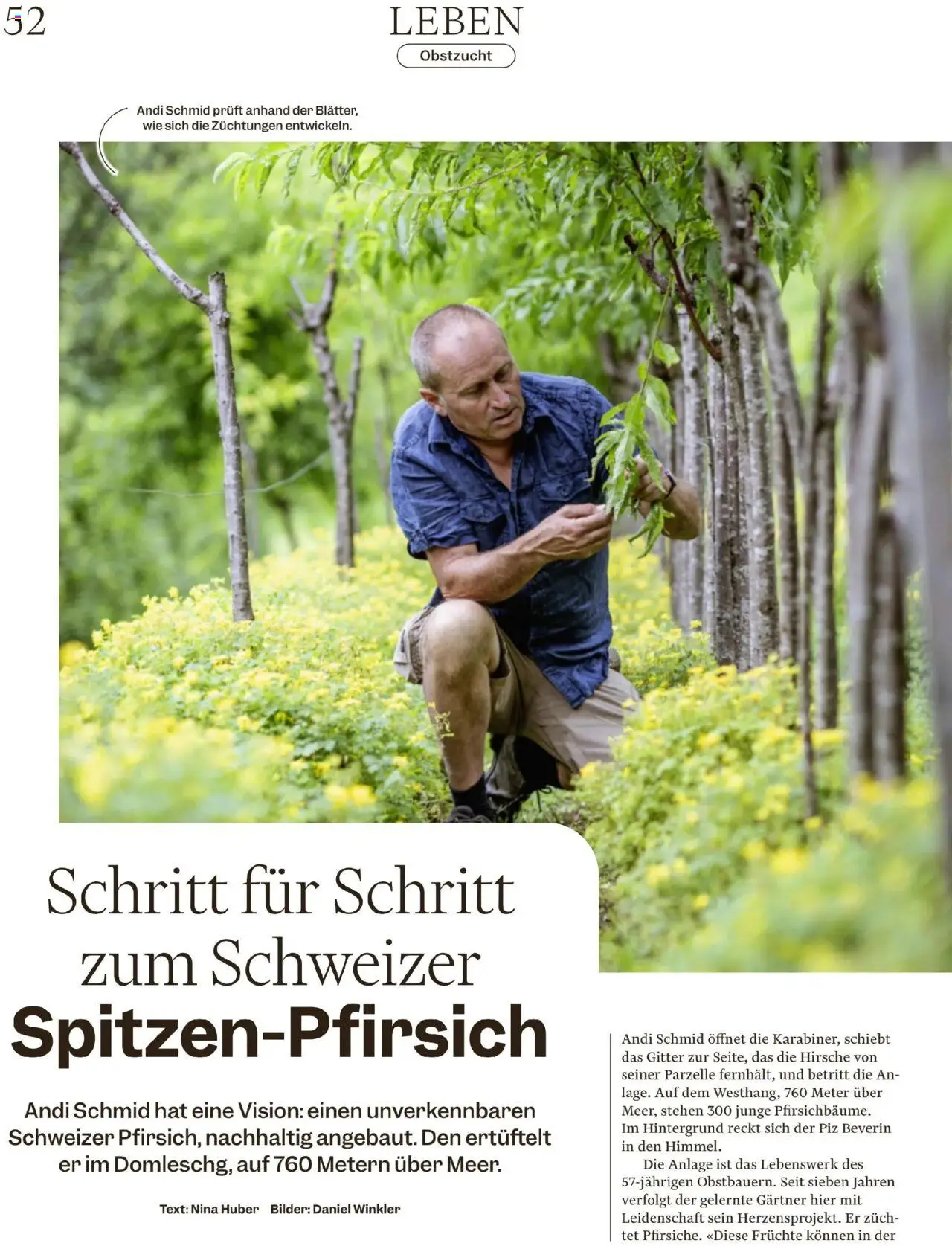 Migros - Magazin ab 12.08.2025 | Seite: 52 | Produkte: Gitter, Früchte, Bilder