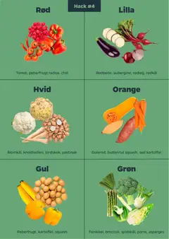 Rødbede, aubergine, rødløg, rødkål, Purple vegetables: Beetroot, aubergine, red onion, red cabbage gyldig fra 01.01.2026 | Side: 12 | Produkter: Squash, Rødkål, Peberfrugt, Asparges