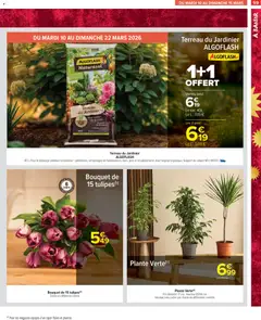 Carrefour Market - Prévisualisation de Carrefour Market catalogue semaine 11 valide à partir de 10.03.2026 | Page: 61