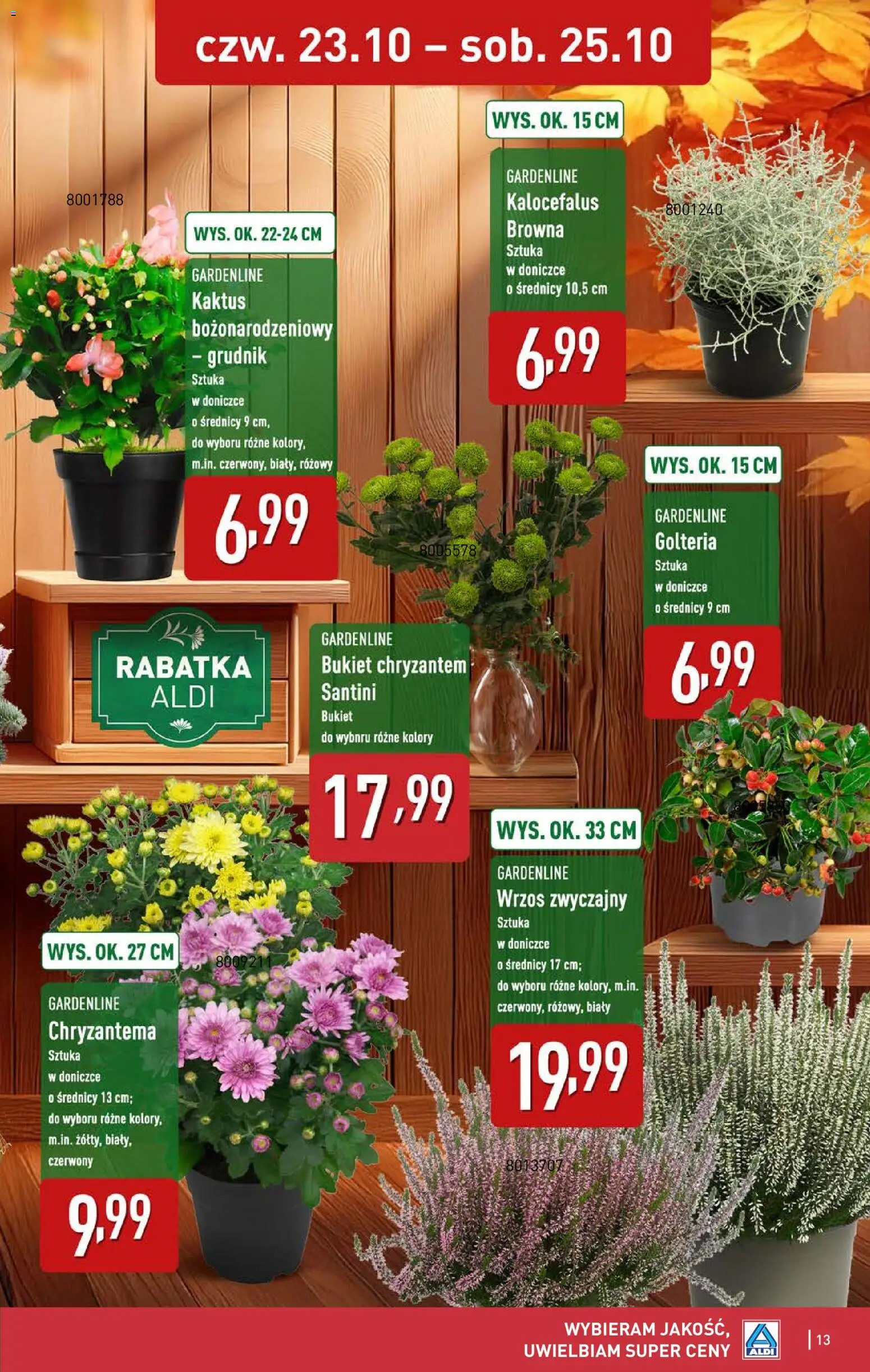 Aldi Gazetka - Okazje na weekend od 23.10.2025 | Strona: 13 | Produkty: Wrzos