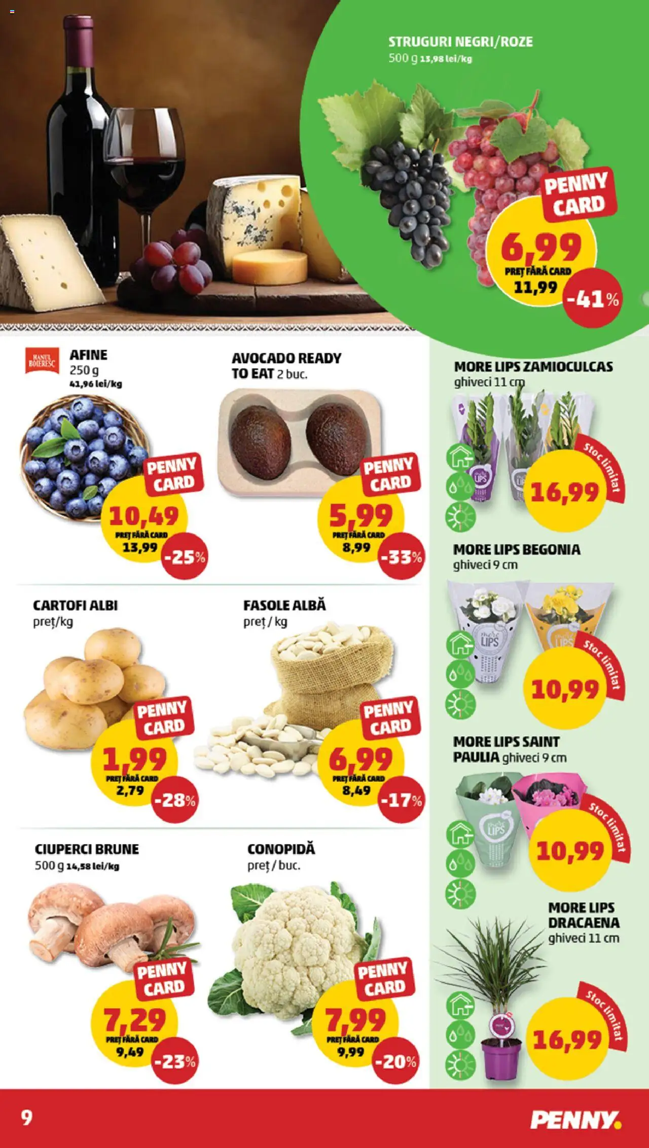 Catalog PENNY – valabil de la 16.07.2025 | Pagină: 9 | Produse: Afine, Conopidă, Ghiveci, Ciuperci