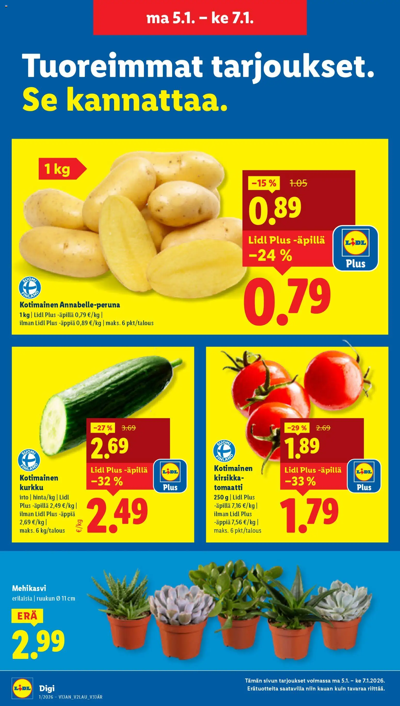 Lidl tarjoukset - Helsinki – voimassa 01.01.2026 alkaen | Sivu: 19 | Tuotteet: Kurkku