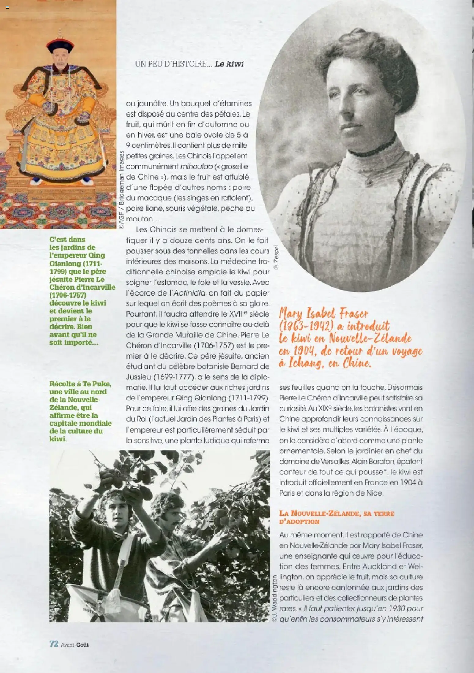 {H1} | Page: 72 | Produits: Souris, Poire, Plantes, Mais