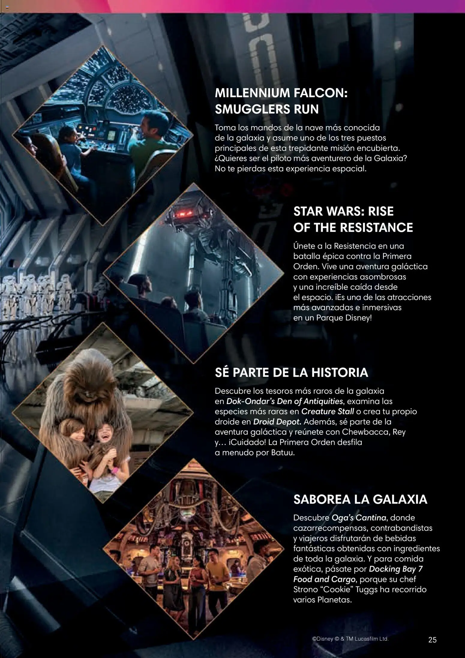 Viajes El Corte Inglés Folleto Walt Disney World │ válido desde el 03.12.2025 | Página: 25 | Productos: Κρεμάστρα, Té