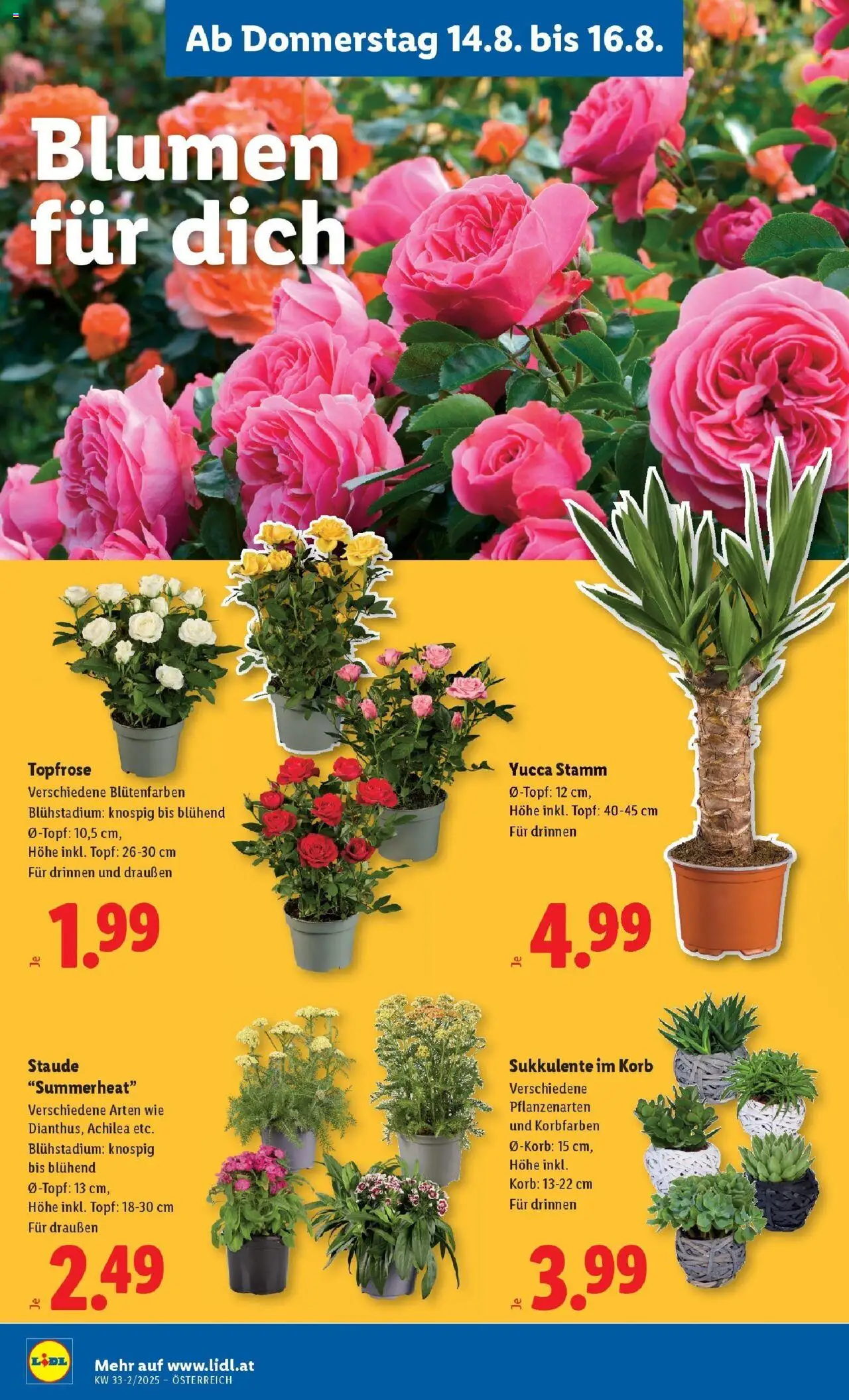 Lidl Flugblatt - Salzburg, Jenbach, Dornbirn gültig ab 14.08.2025 | Seite: 24 | Produkte: Korb