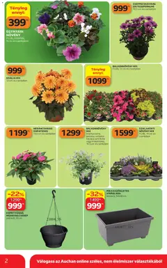 Auchan Kertészet és Szabadidő - amely érvényes a következő dátumtól: 16.04.2026 | Oldal: 2 | Termékek: Virágláda