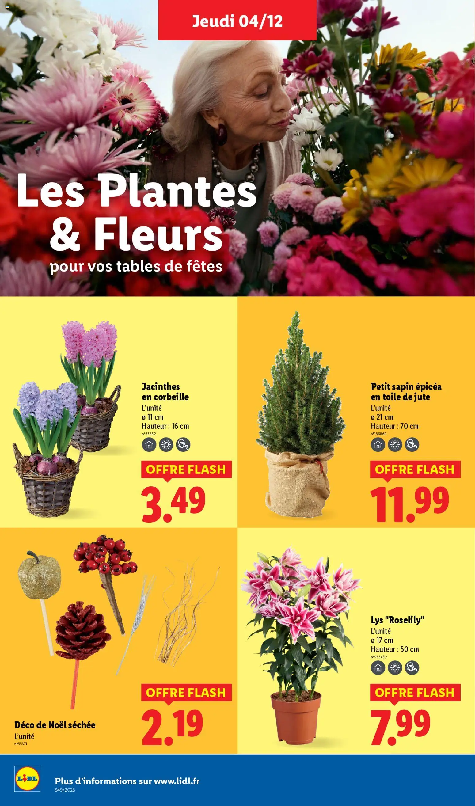{H1} | Page: 42 | Produits: Plantes