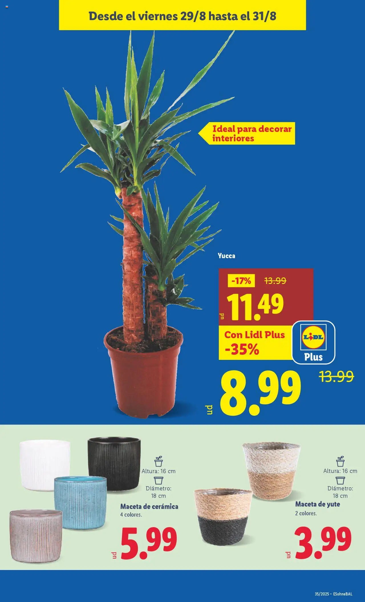 Lidl catálogo BCN │ válido desde el 25.08.2025 | Página: 23 | Productos: Maceta