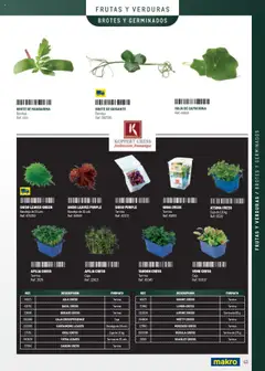 Vista previa Makro - Especia Carta válido desde el 08.04.2025 | Página: 63 | Productos: Χοιρινό παϊδάκι, Bandeja, Caja