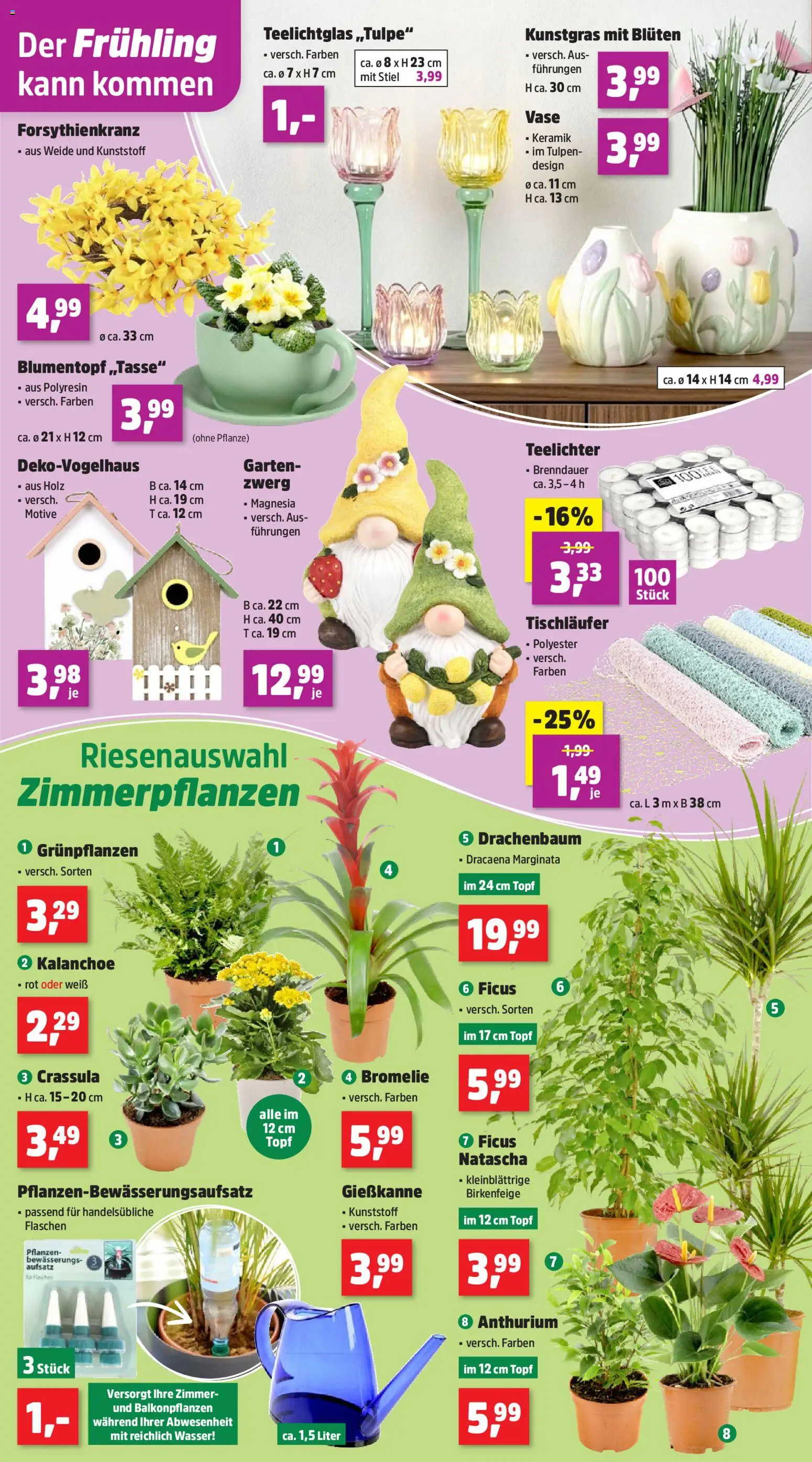 Thomas Philipps Prospekt – gültig ab 26.01.2026 | Seite: 4 | Produkte: Blumentopf, Vase, Wasser