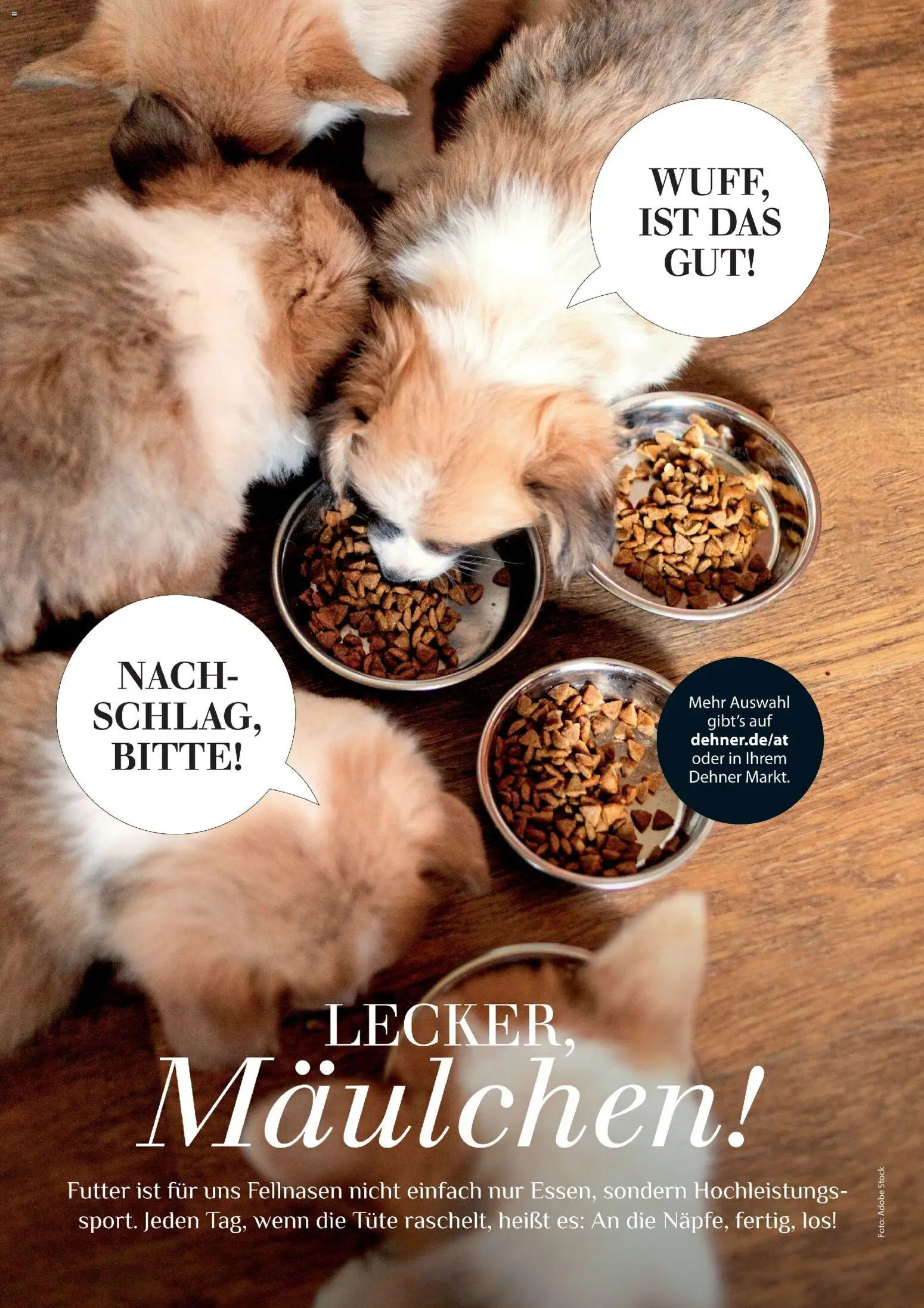 Dehner Prospekt 	 – gültig ab 17.04.2026 | Seite: 88