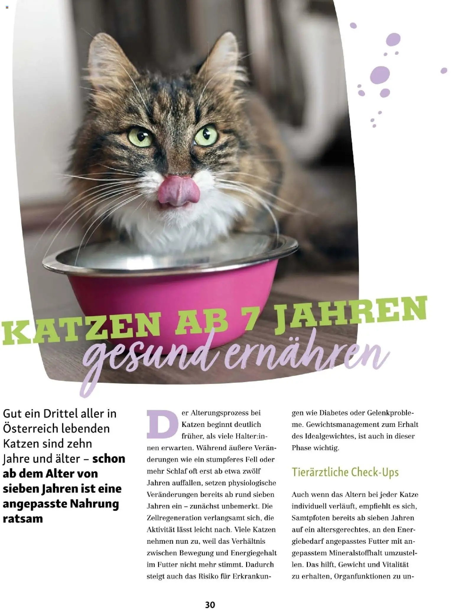 Fressnapf Friends 02/26 gültig ab 01.03.2026 | Seite: 30 | Produkte: Gewicht