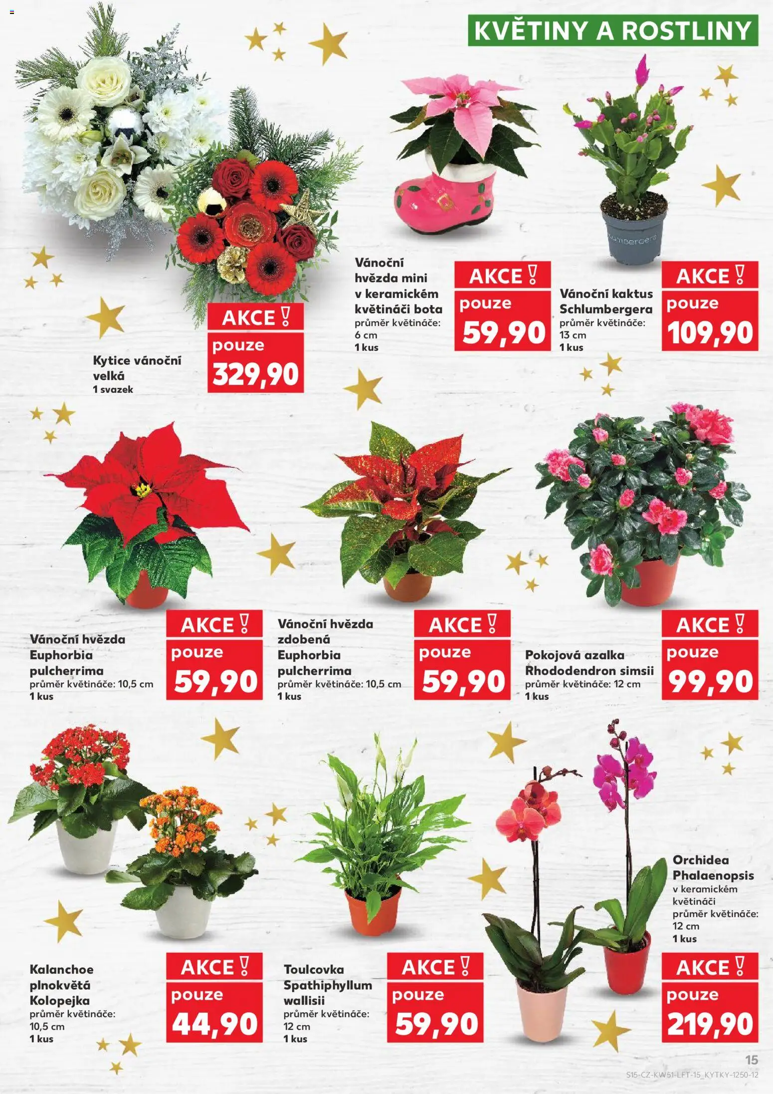 Kaufland leták od 17.12.2025 | Strana: 15 | Produkty: Kalanchoe, Květináče, Rostliny, Květiny