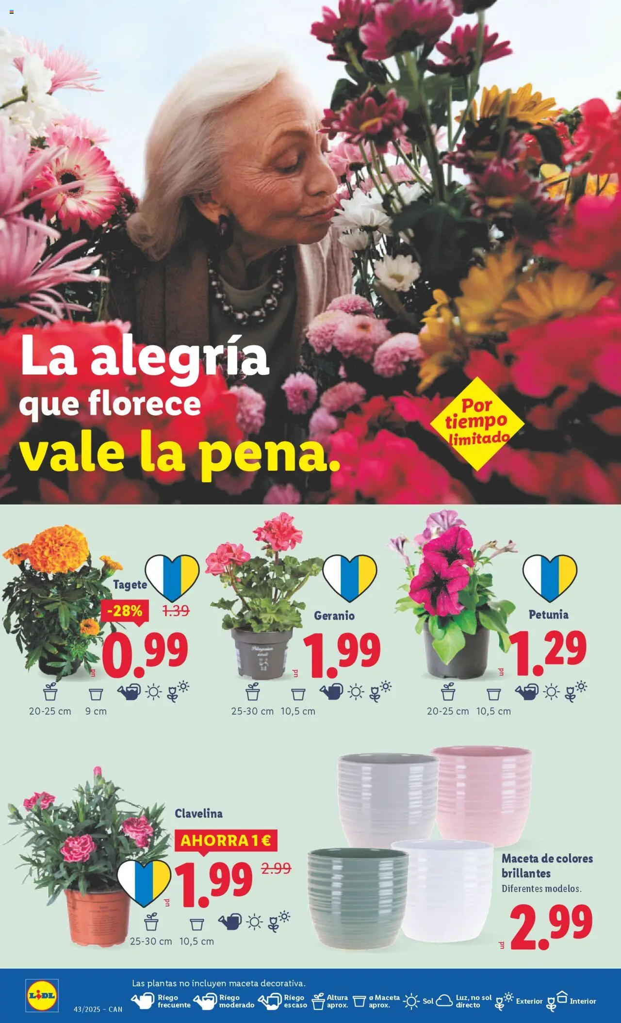 Lidl - Canarias │ válido desde el 20.10.2025 | Página: 34 | Productos: Maceta