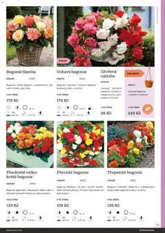 Náhled letáku Starkl katalog od 25.02.2026 | Strana: 85 | Produkty: Cibule